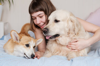 Before You Bring Home a Pet A Candid Readiness Check