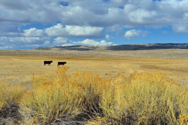 Inside Mountains West Ranches 2025 A Candid Guide to Buying Rural Utah Land