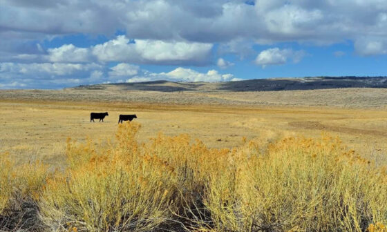 Inside Mountains West Ranches 2025 A Candid Guide to Buying Rural Utah Land