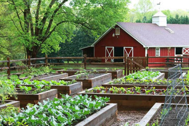 Keeping Your Grounds Resilient Practical Strategies to Protect Land Gardens and Value