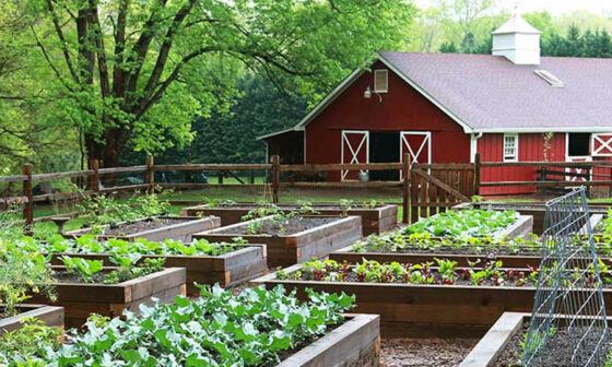 Keeping Your Grounds Resilient Practical Strategies to Protect Land Gardens and Value