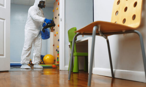 5 Signs You Need A Formaldehyde Removal Service At Home