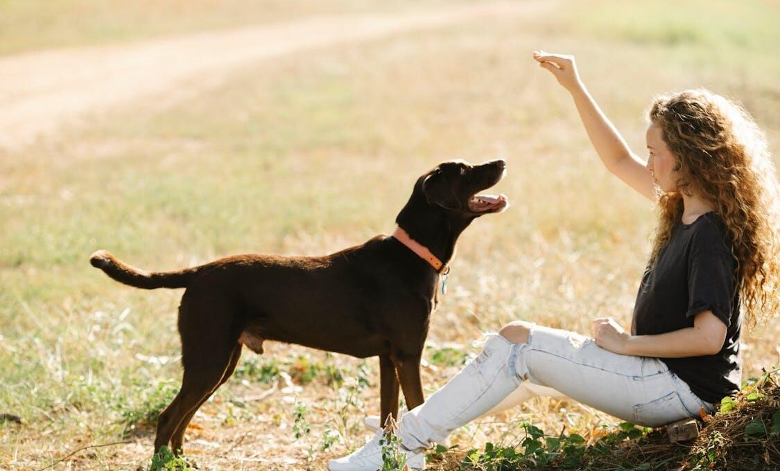 Behavioral Signs Your Dog May Need Expert Training Support