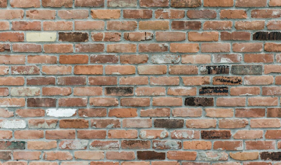 Comprehensive Guide to Exterior Wall Rendering Maintenance