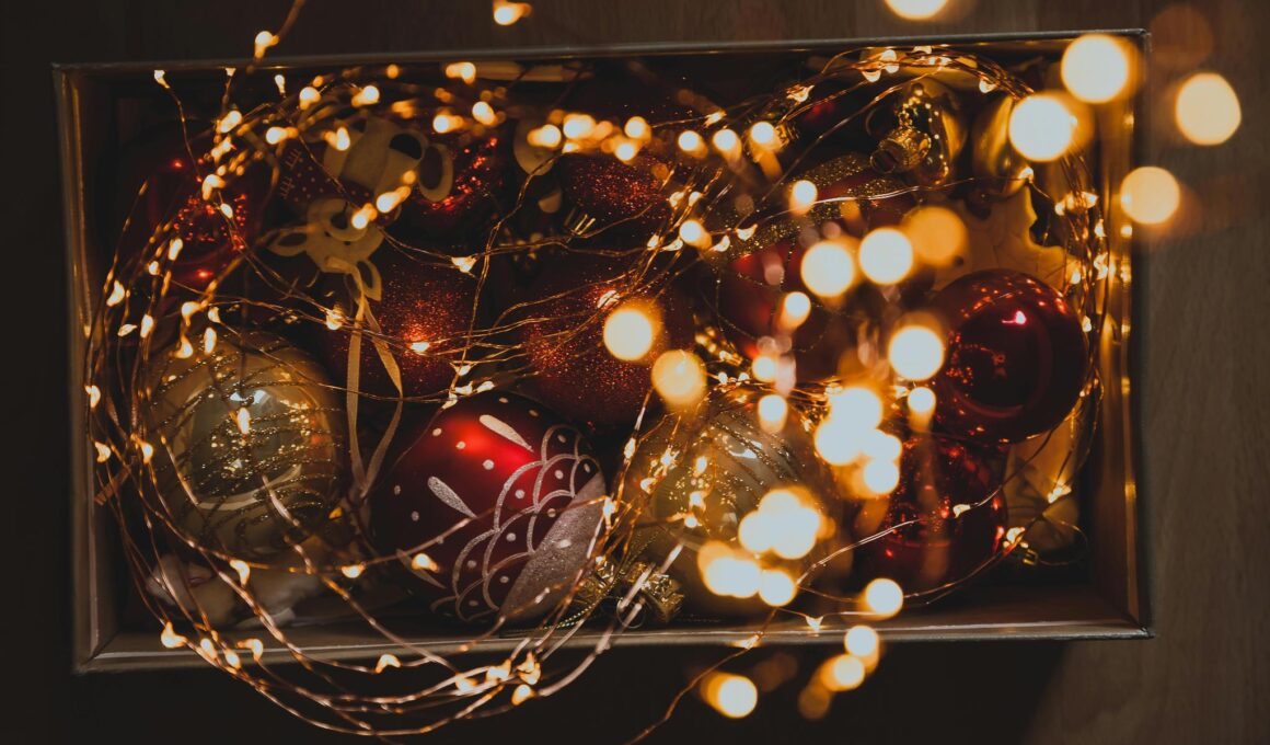 Create a Magical Atmosphere with Unique Holiday Lighting Decor