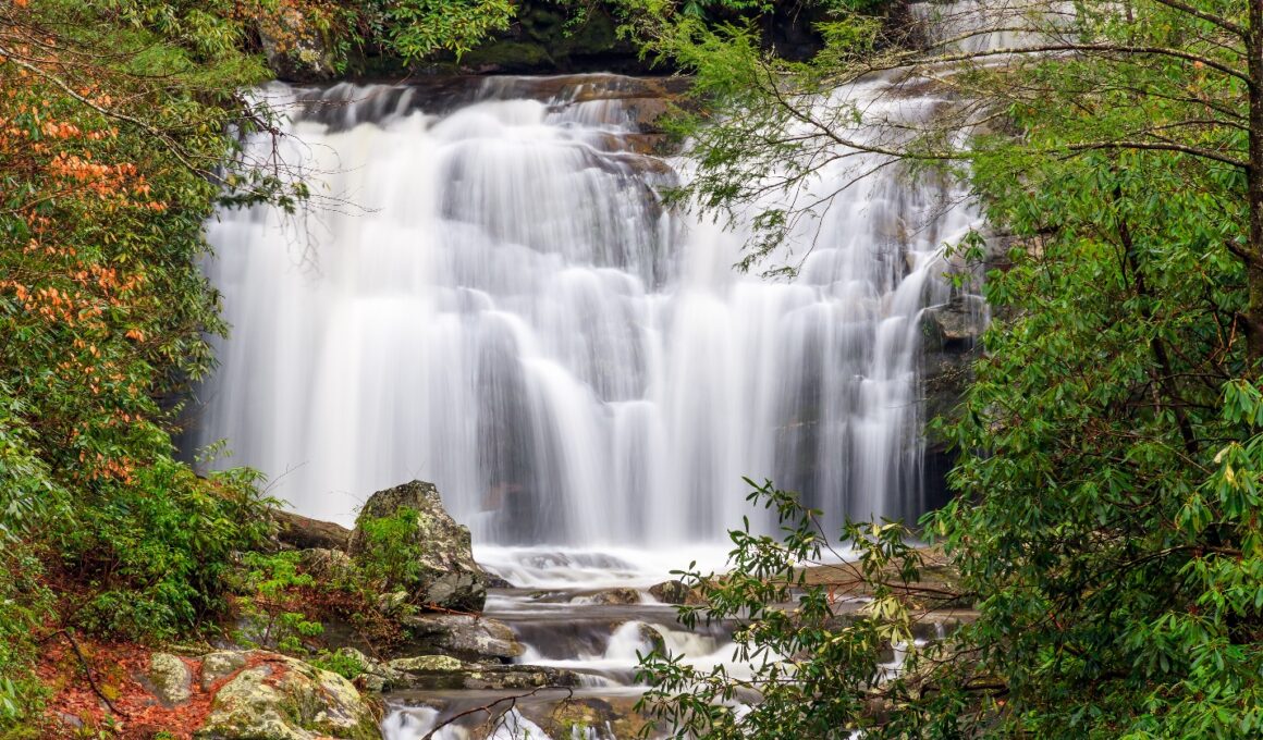 Family Travel in Elevated Landscapes Beyond the Usual Hiking Routes