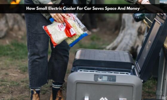 How Small Electric Cooler For Car Saves Space And Money 1