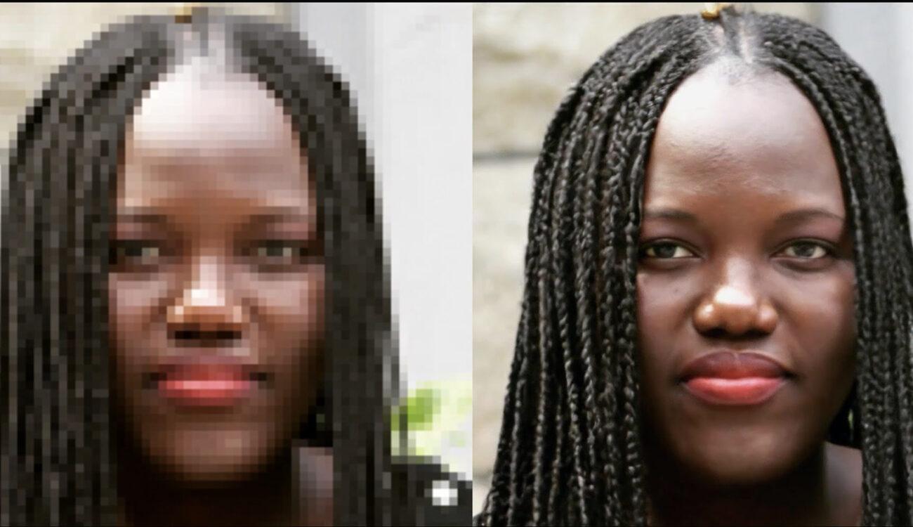 Reimagining Images With Artificial Intelligence 4