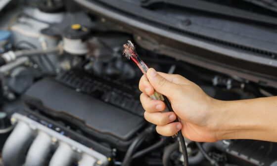 Why Chewed Wiring Is One of the Most Misdiagnosed Car Faults in Australia