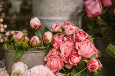 Why Fresh Flowers Are Still the Most Meaningful Mothers Day Gift