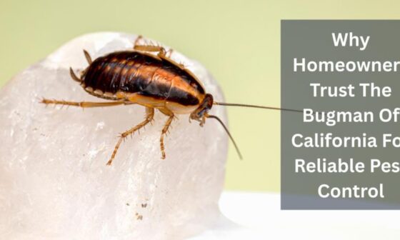Why Homeowners Trust The Bugman Of California For Reliable Pest Control