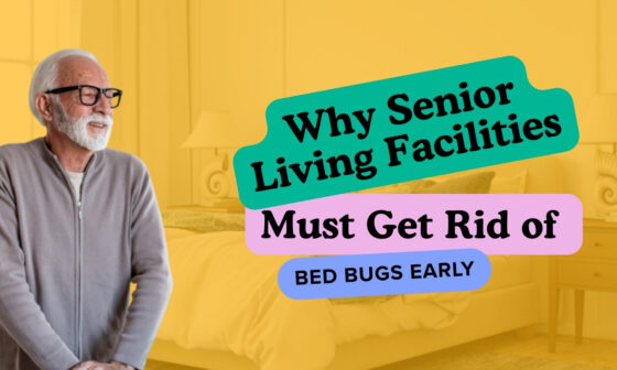 Why Senior Living Facilities Must Get Rid of Bed Bugs Early