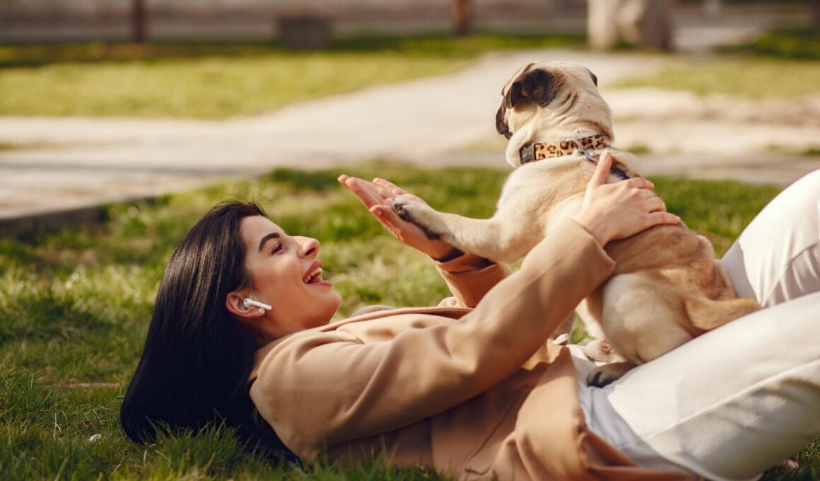 7 Ways to Help Your Pet Stay Active