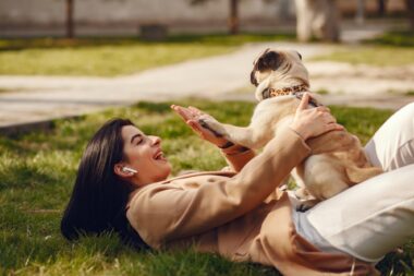 7 Ways to Help Your Pet Stay Active