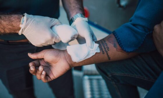 Dog Bite Laws Every Homeowner and Victim Should Understand