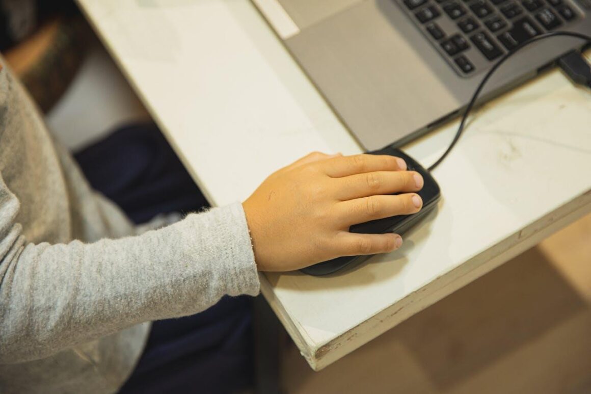 How Families Evaluate State Approved Virtual Schools