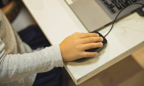 How Families Evaluate State Approved Virtual Schools