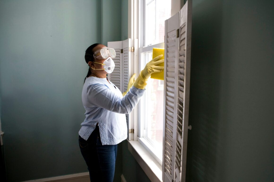 Keeping Your Home Pest Free