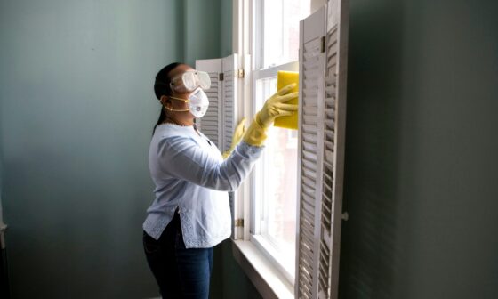 Keeping Your Home Pest Free