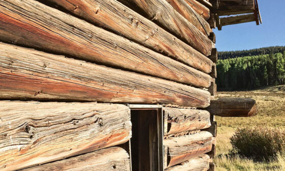 Navigating the Challenges of Log Home Repairs