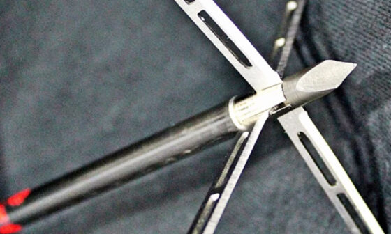 The Best Broadheads for Turkey Hunting