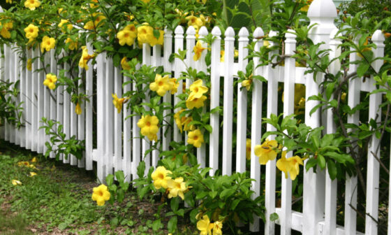 Why HOA Regulations Shape Fence Height Decisions