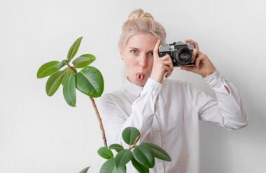 A guide to everything you need to know about Stock photography