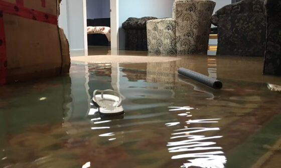 Basement from Seasonal Flooding and Water Damage