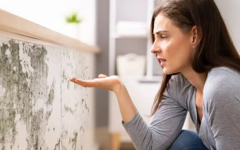 Emergency Actions to Protect Your Home