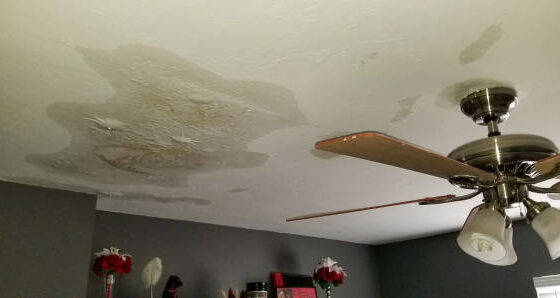 How to Spot Roofing Issues Before They Become Expensive Problems