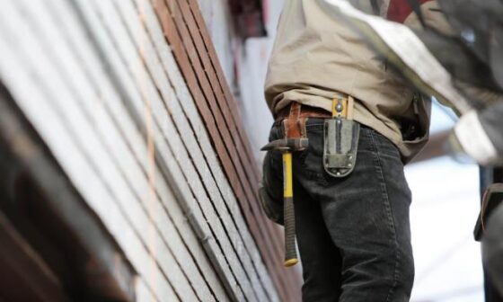 Professional Services Every Homeowner Ends Up Needing Sooner or Later