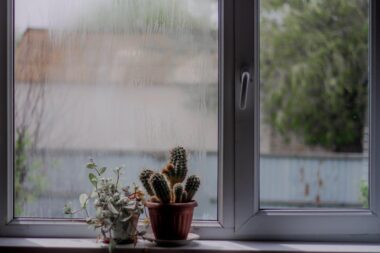 Signs Your Home May Have Hidden Moisture Problems