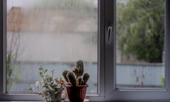 Signs Your Home May Have Hidden Moisture Problems