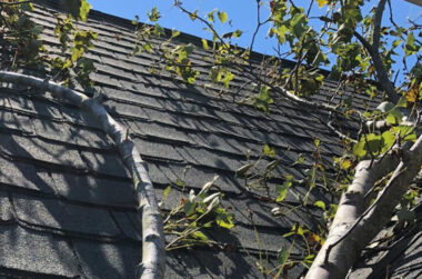 Types of Urgent Roof Repair Services Provided by Professionals in North Jersey