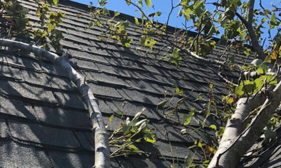Types of Urgent Roof Repair Services Provided by Professionals in North Jersey