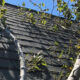 Types of Urgent Roof Repair Services Provided by Professionals in North Jersey