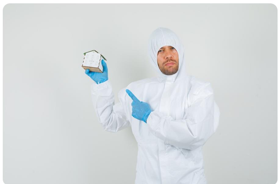 What Should You Do If You Find Bed Bugs 4