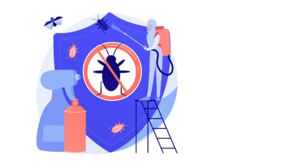 What Should You Do If You Find Bed Bugs