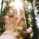 Healing After Trauma