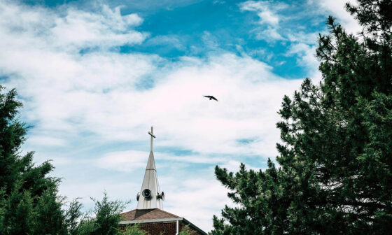 How Communities Preserve Identity Under Pressure