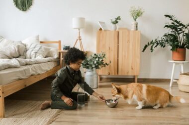 Simple Ways to Make Your Home More Comfortable for Pets
