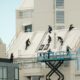 The Difference Between Roof Repairs Restoration and Replacement