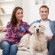 Are You a Helicopter Parent to Your Dog Heres How to Tell