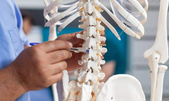 How To Choose the Right Spine Doctor for Your Needs