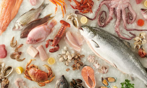 Seafood Delivery Demand Keeps Climbing Steadily as 2026 Progresses