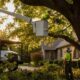 5 Best Tree Trimming Companies In Fenton Michigan