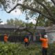6 Best Tree Removal Companies In Vero Beach FL