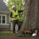 6 Best Tree Service Companies in St. Marys County Maryland 2