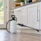 How Professional Pest Control Can Protect Your Kitchen and Home