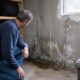 How To Spot Basement Moisture Problems Before They Become Expensive Repairs in Louisville Kentucky